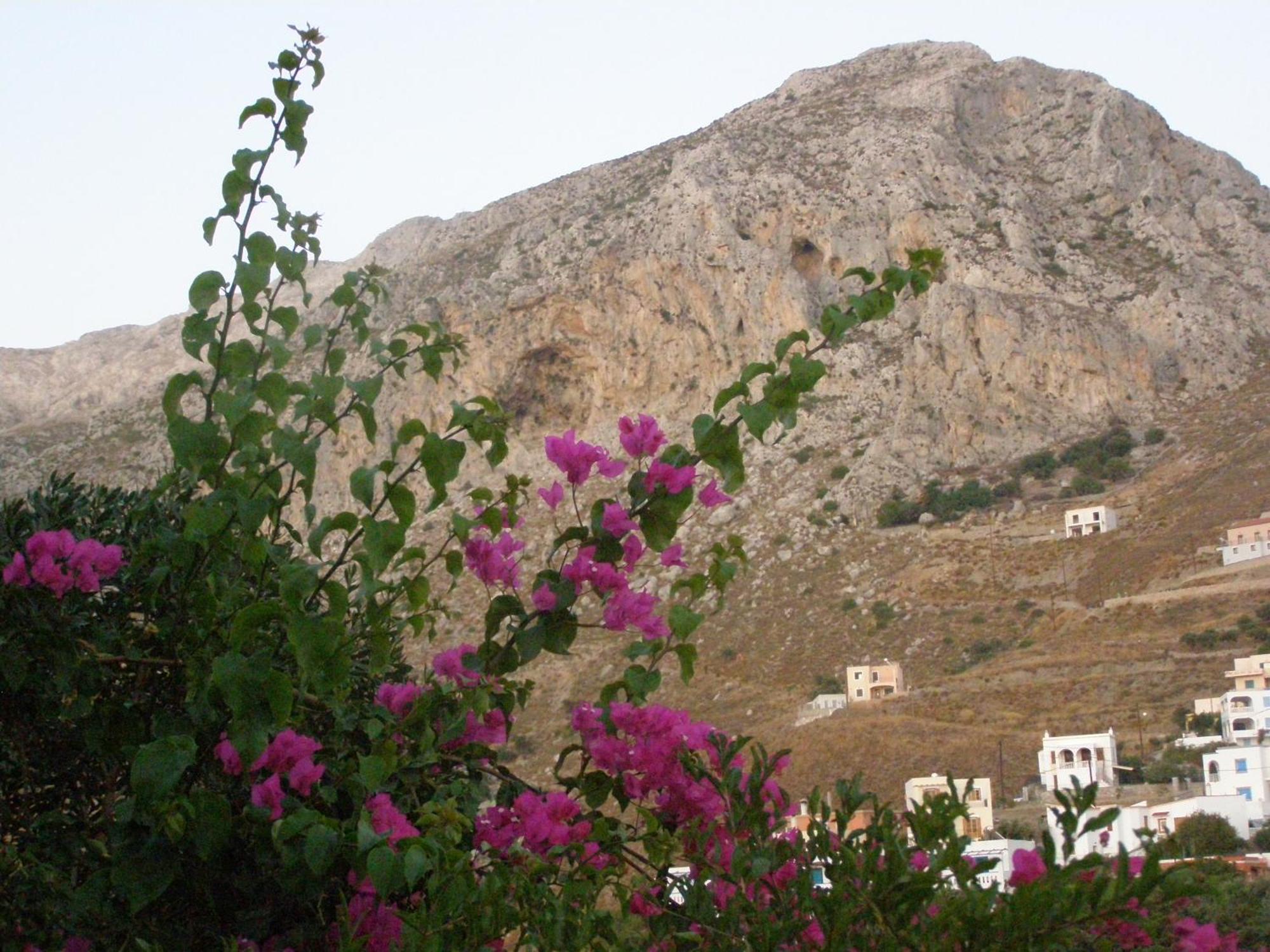 Studios Aeolos Kalymnos Myrties Exterior foto